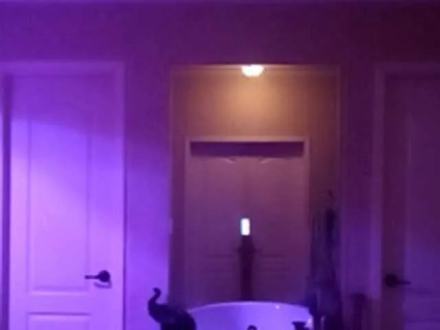 Live sex webcam photo for JonisonFBook #277030048