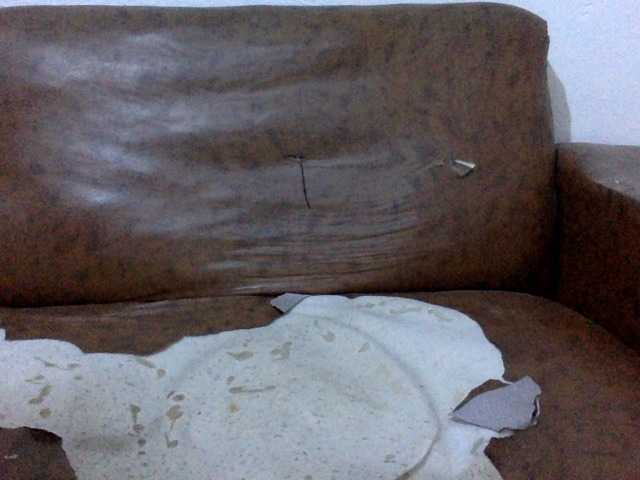 Live sex webcam photo for Jose3451-1 #276994179