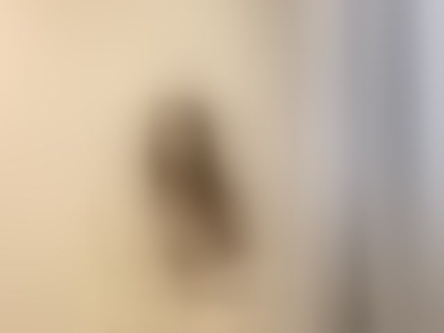 Live sex webcam photo for JosephinaYeaton #293501462
