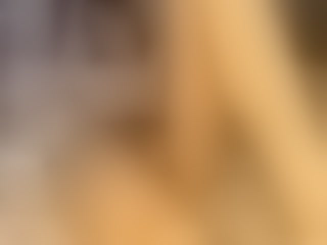 Live sex webcam photo for JosephinaYeaton #293920280
