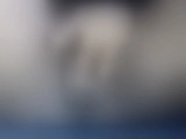 Live sex webcam photo for Joycc1 #292526548