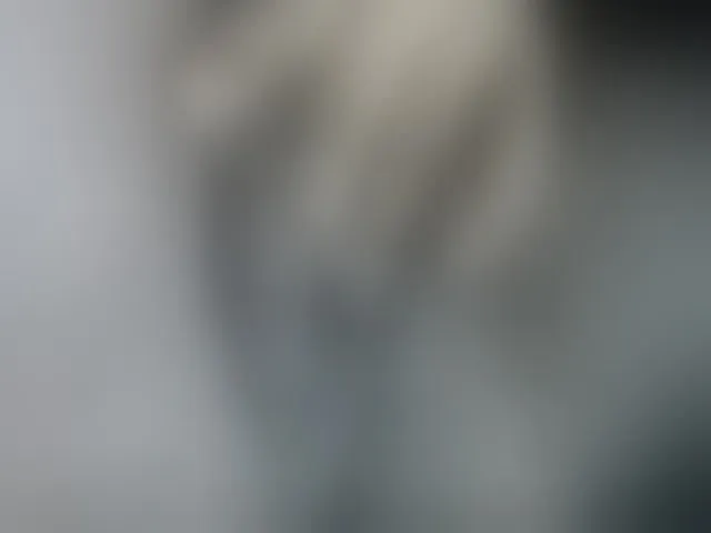 Live sex webcam photo for Joycc1 #292541361