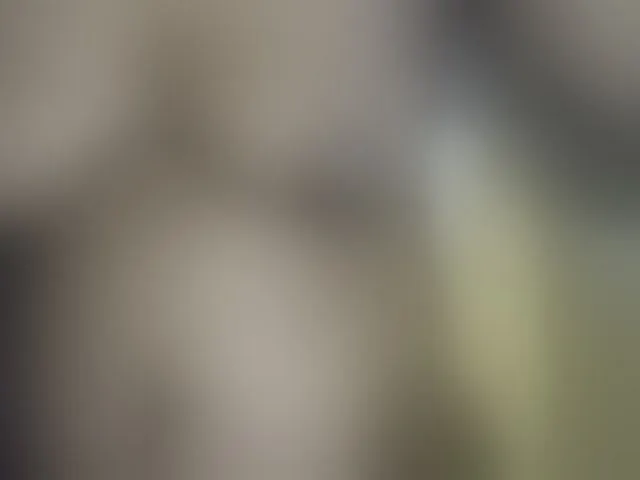 Live sex webcam photo for Joycc1 #292673099