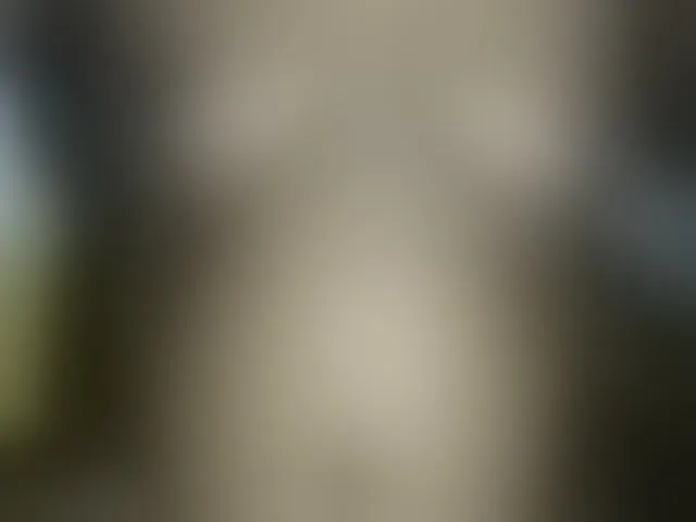 Live sex webcam photo for Joycc1 #292756616