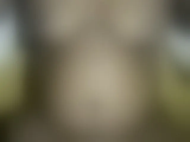 Live sex webcam photo for Joycc1 #292762680