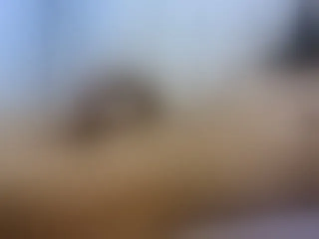 Live sex webcam photo for Juhh-cute #290967973
