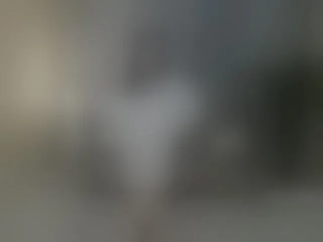Live sex webcam photo for JulietMonli #292316100