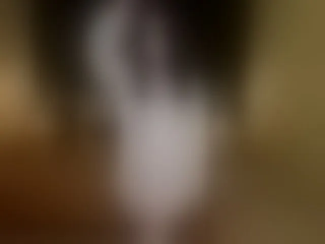 Live sex webcam photo for JulietMonli #292345958