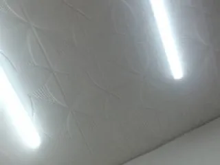 Live sex webcam photo for JulySophia #146735885