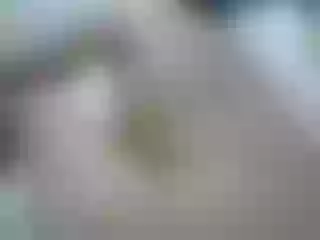 Live sex webcam photo for JulySophia #191218320