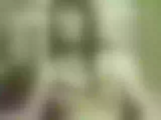 Live sex webcam photo for Juny-1 #291842888