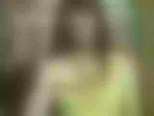 Live sex webcam photo for Juny-1 #291855447