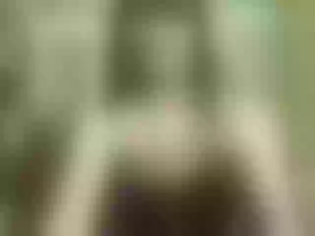Live sex webcam photo for Juny-1 #291862558