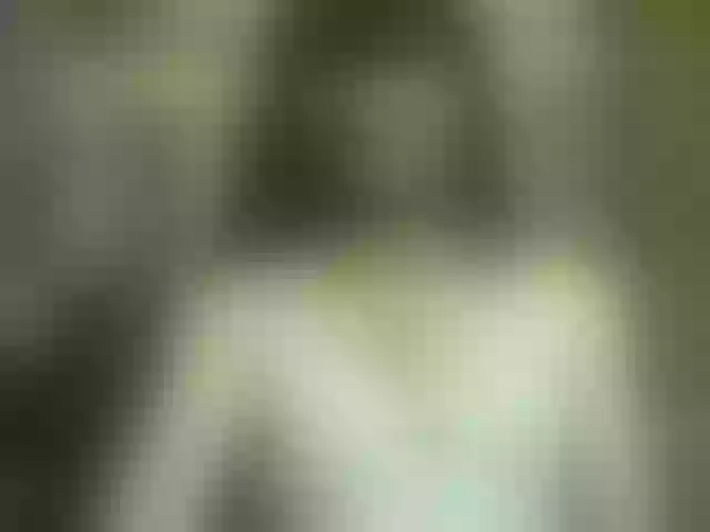 Live sex webcam photo for Juny-1 #291873136