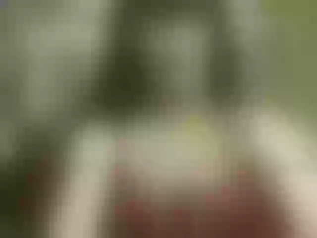 Live sex webcam photo for Juny-1 #291897922