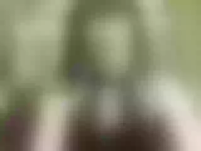 Live sex webcam photo for Juny-1 #291905504