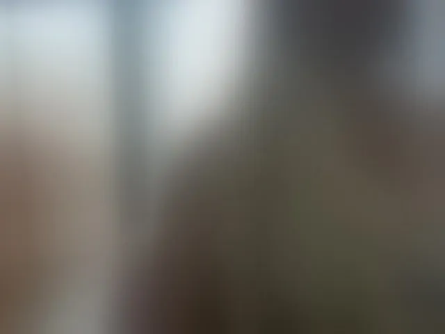 Live sex webcam photo for Jussara-Milf #292383774