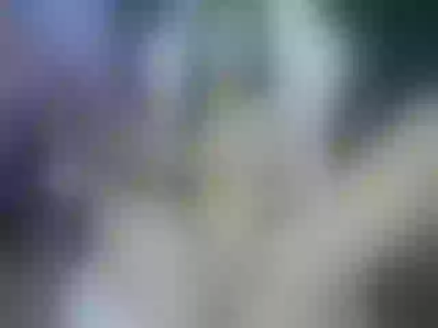 Live sex webcam photo for Just-Mira #290279036