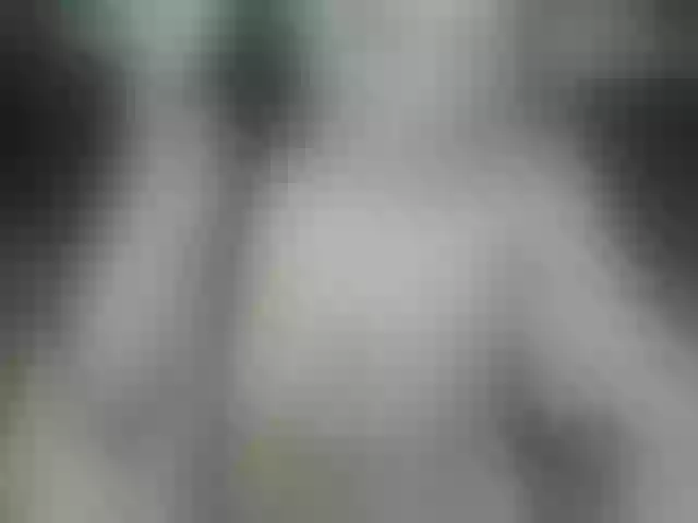 Live sex webcam photo for Just-Mira #291796285