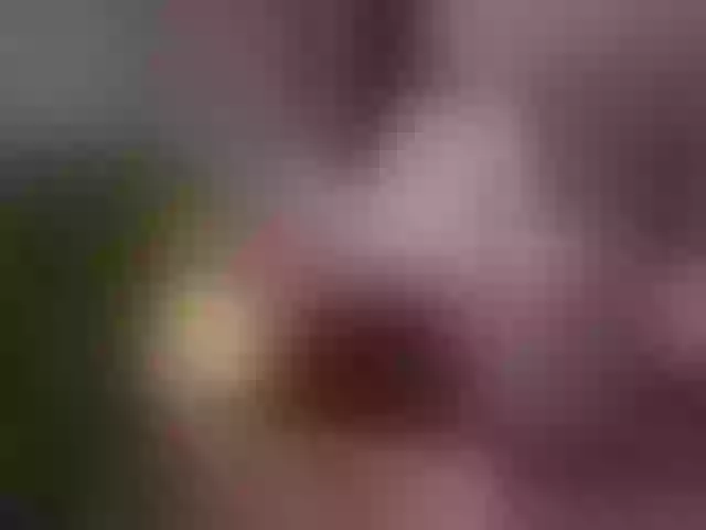 Live sex webcam photo for JustKessie #291053401