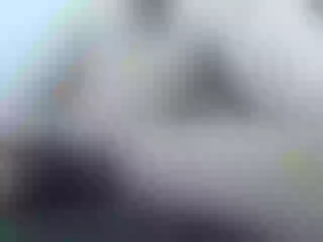 Live sex webcam photo for JustinMaverick #277445301