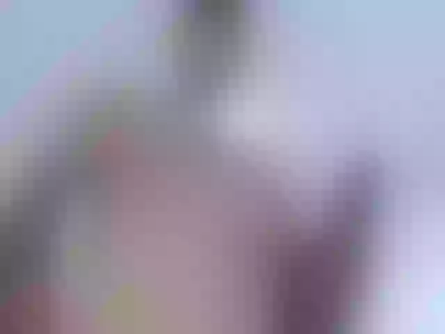 Live sex webcam photo for JustinMilers #276567953