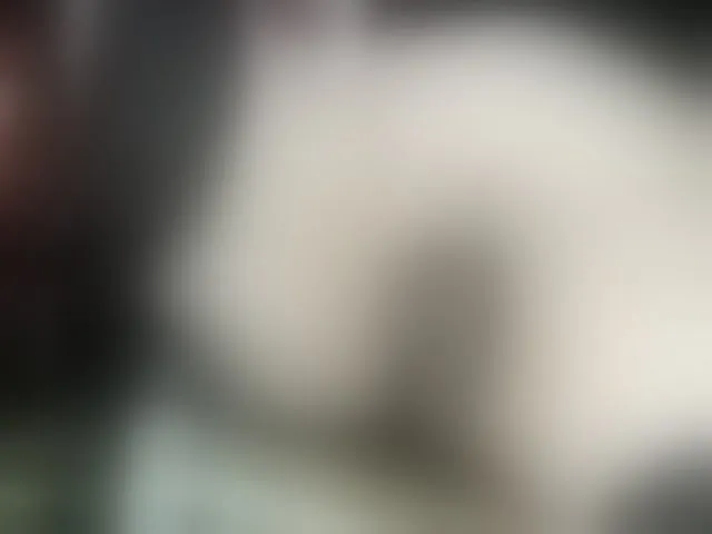 Live sex webcam photo for KARINA-S-PALACIOS #292697709