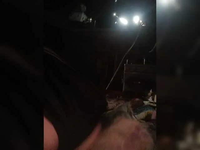 Live sex webcam photo for KD-06-02 #291416574