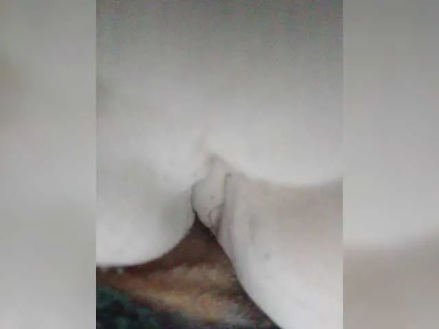 Live sex webcam photo for KD-06-02 #291909332