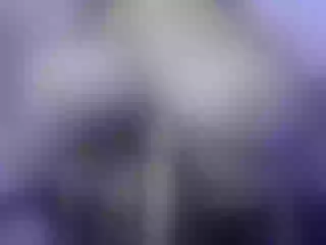 Live sex webcam photo for KISSI-TAY #291900109