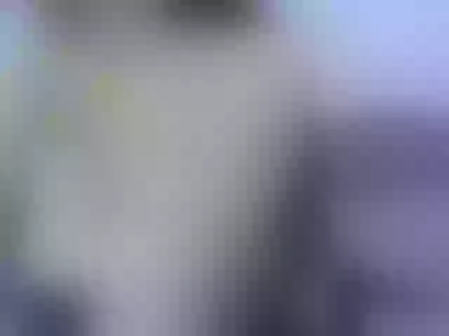 Live sex webcam photo for KISSI-TAY #291940194