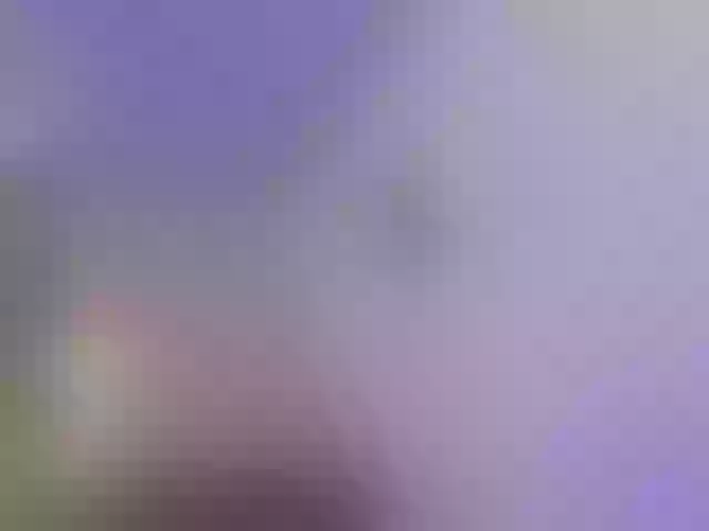 Live sex webcam photo for KISSI-TAY #291993826