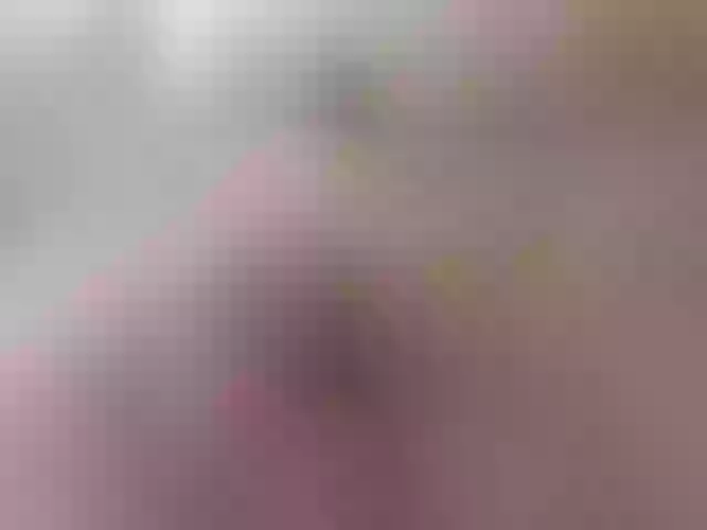 Live sex webcam photo for KITTYtempreXXX #292157701