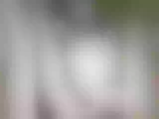 Live sex webcam photo for KKoketkaa #276378893