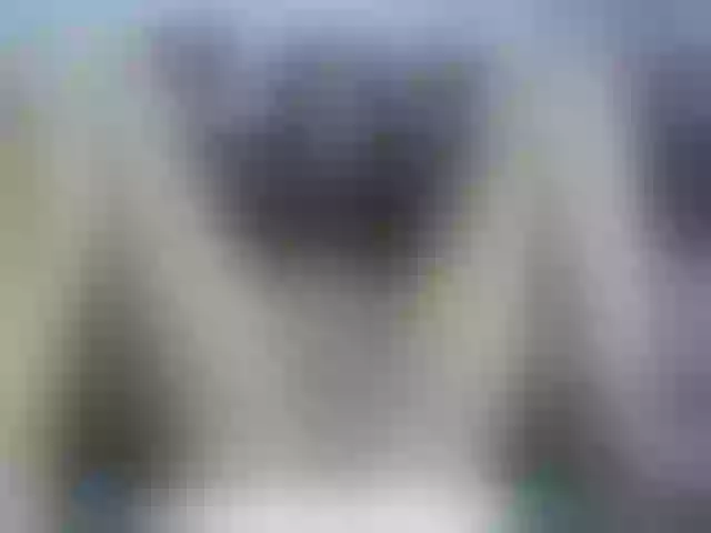 Live sex webcam photo for KOURTNEY- #290540269