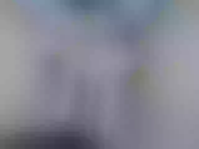 Live sex webcam photo for KOURTNEY- #291978873