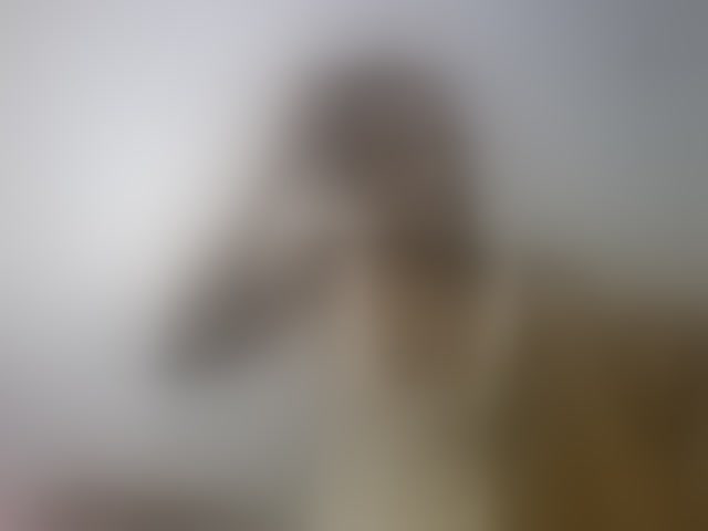 Live sex webcam photo for Karembo #294119614