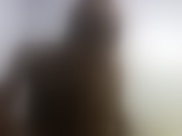 Live sex webcam photo for Karembo #294268785