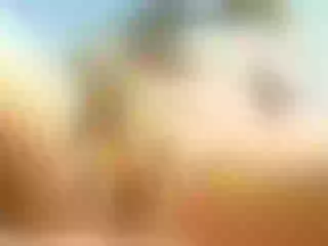 Live sex webcam photo for KarinaPlay23 #273728953