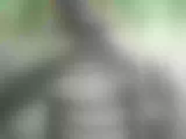 Live sex webcam photo for KarinaPlay23 #274429862