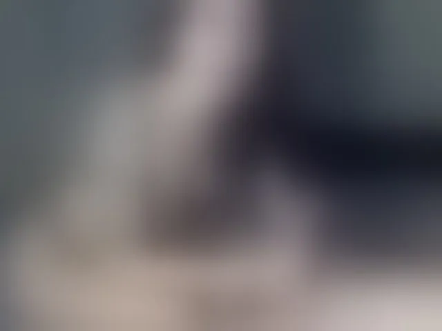 Live sex webcam photo for Karishamur #276993613