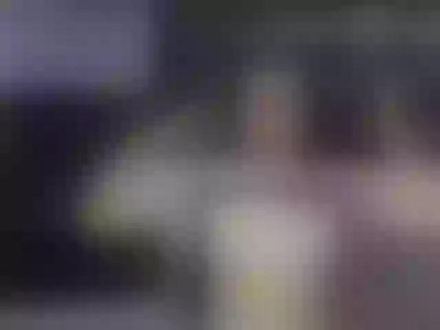 Live sex webcam photo for Karla-Brunette #278015047