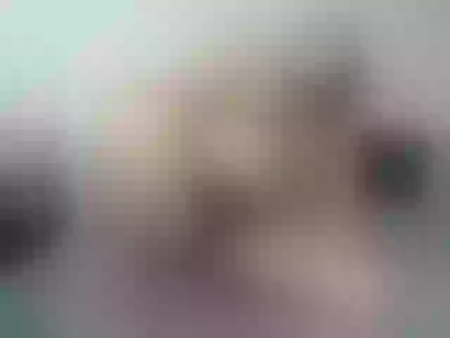 Live sex webcam photo for KarmaSex #272283595