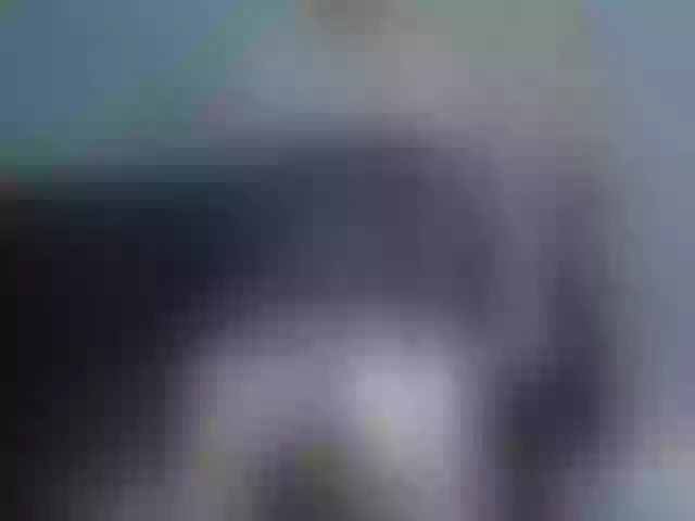 Live sex webcam photo for KarmaSex #273573147