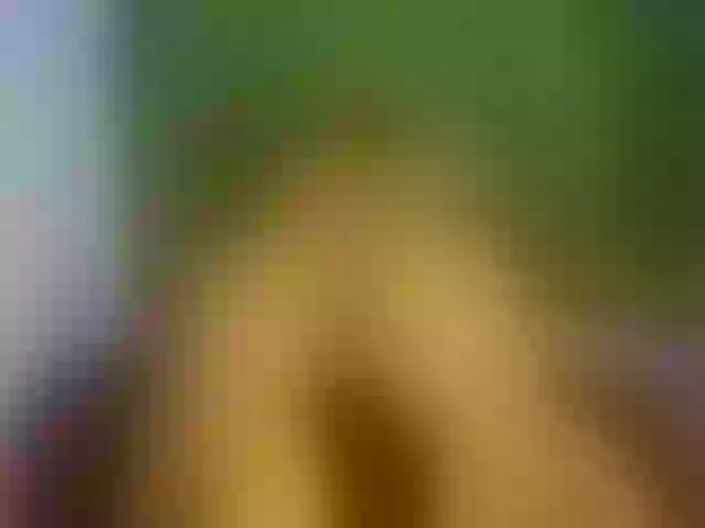 Live sex webcam photo for Karoldirty #276262909