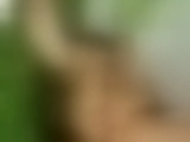 Live sex webcam photo for Karoldirty #276400909