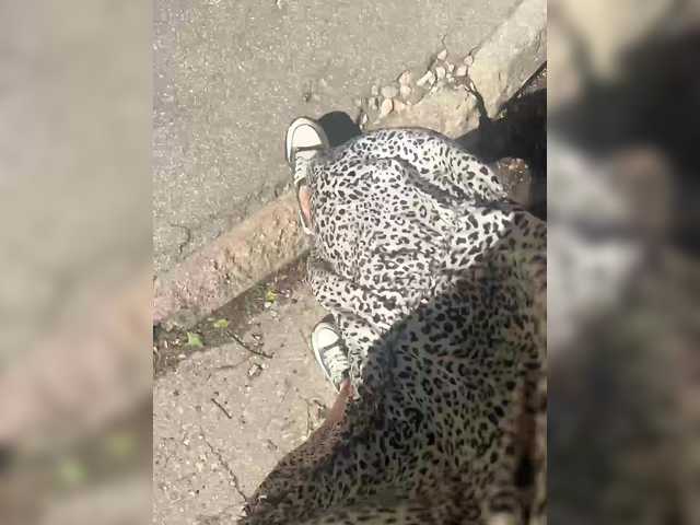 Live sex webcam photo for KarolinaMilf #291404495