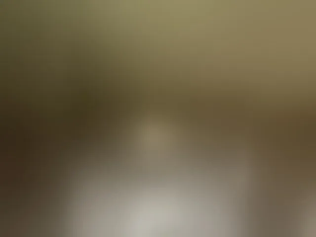 Live sex webcam photo for KarolinaMilf #294248472
