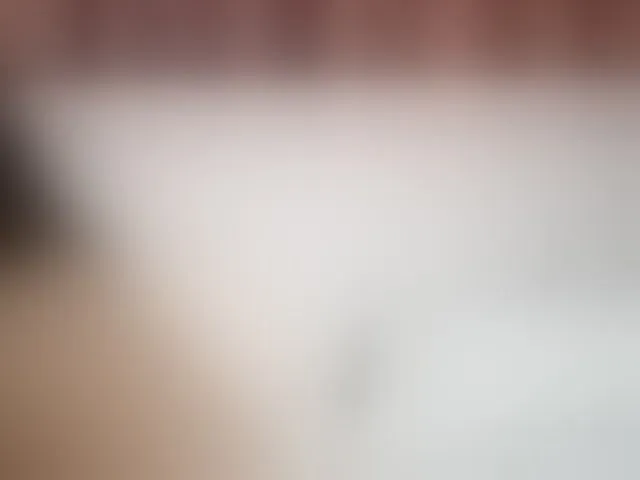 Live sex webcam photo for KarsynJayde #292484498