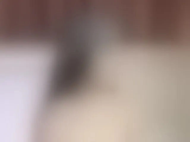 Live sex webcam photo for KarsynJayde #292762552